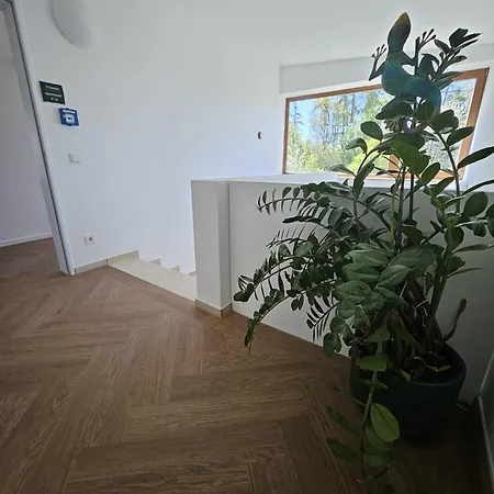 Apartamento - Urlaub Ferienzimmer Hunde Herzlich Willkommen